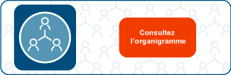 Organigramme